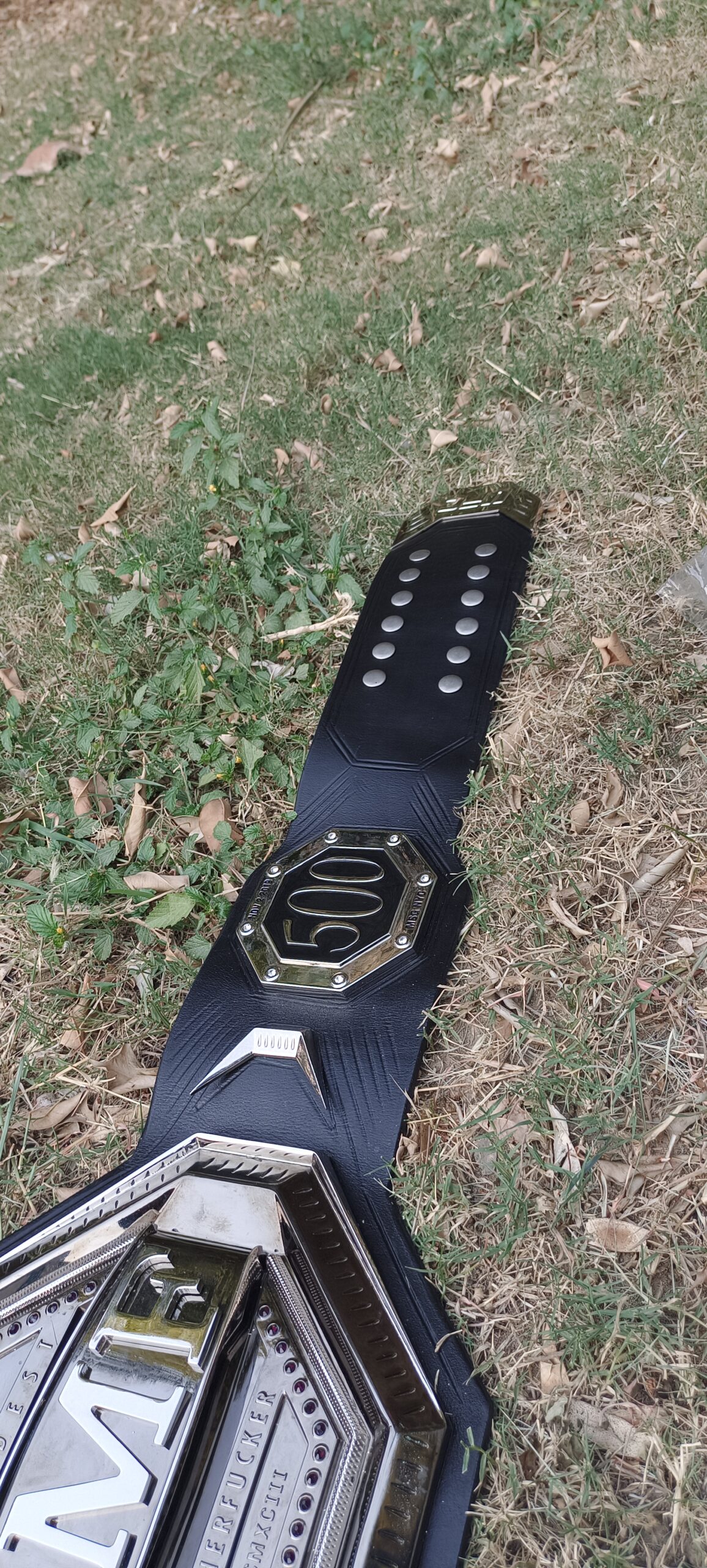 BMF Championship Title Belts - Image 4