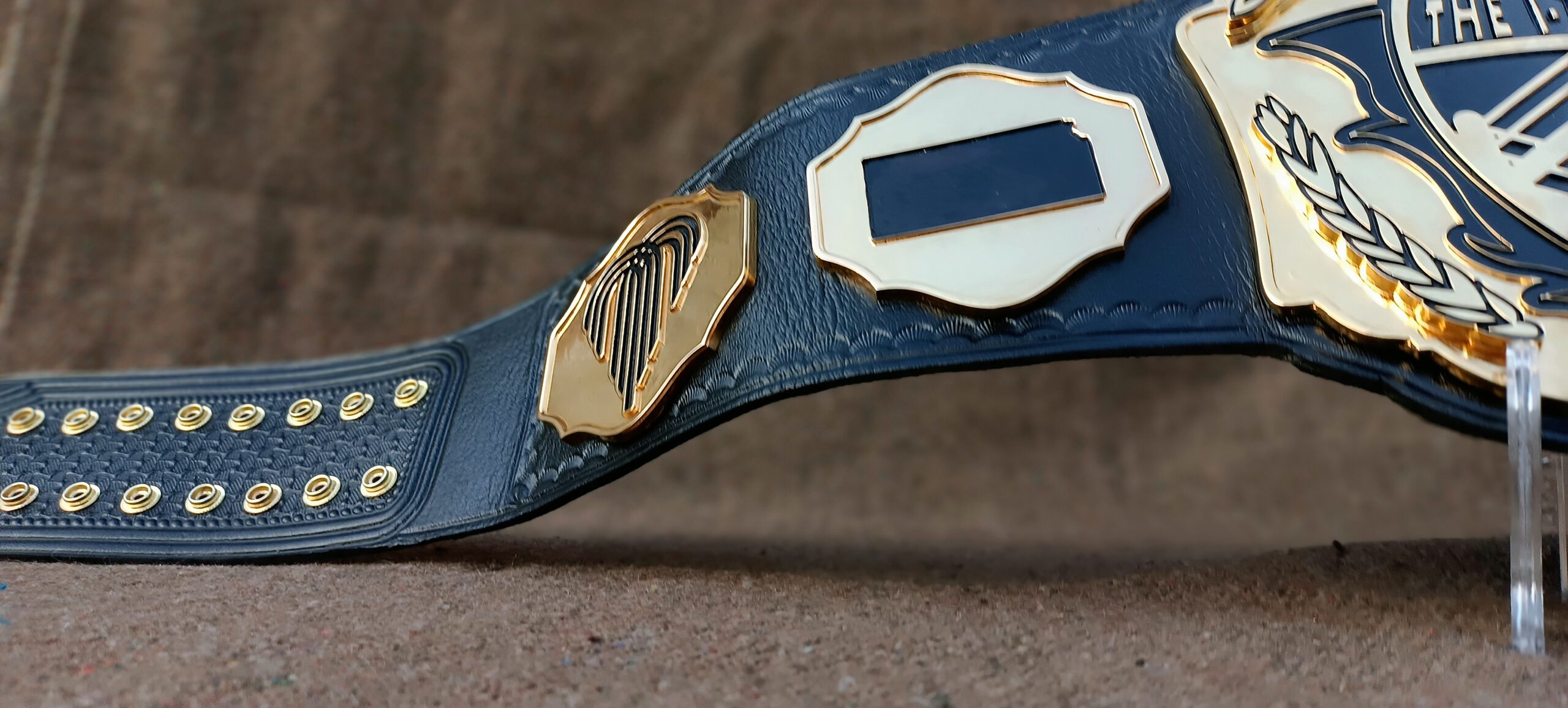 CR Custom Title Belt - Image 4
