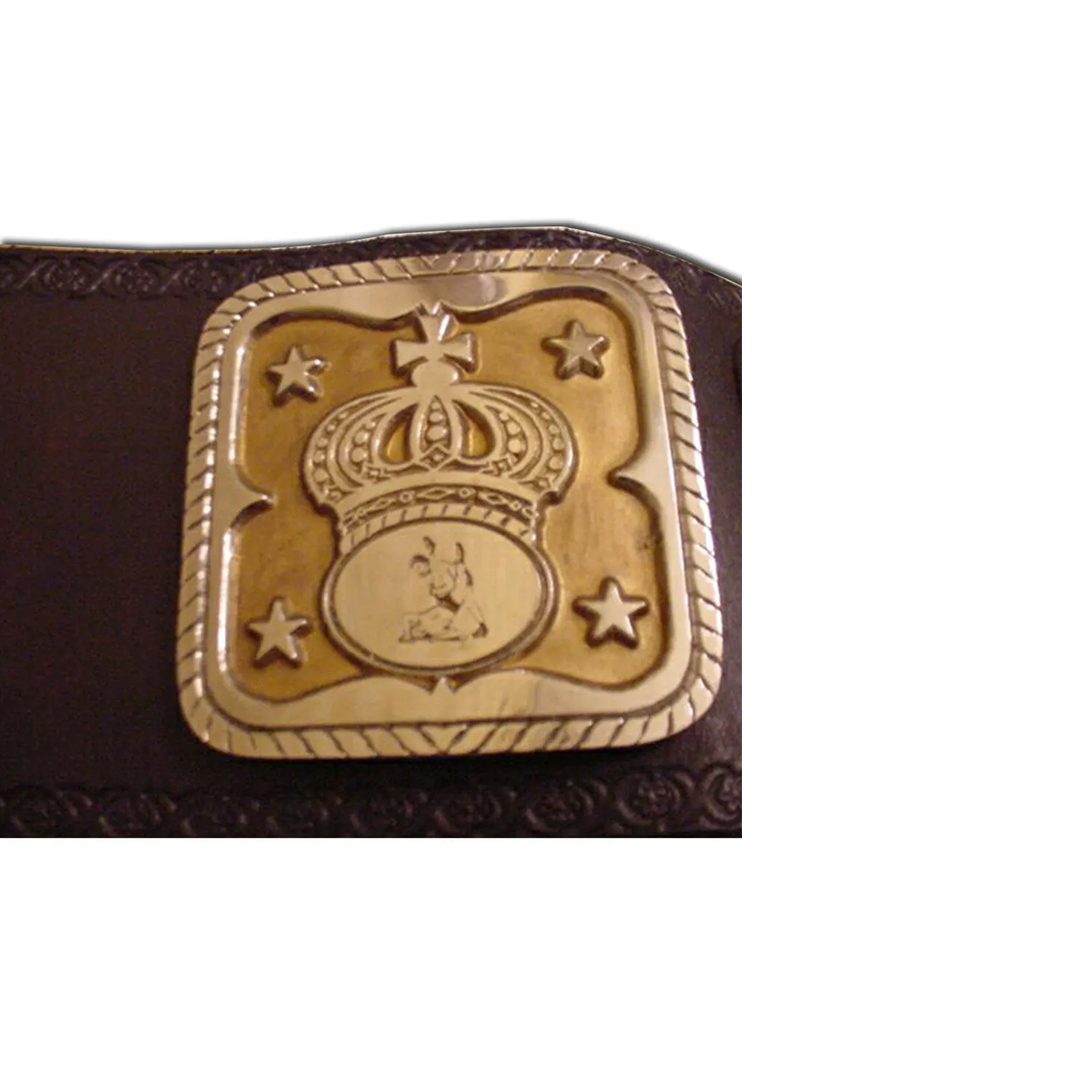 AWA SOUTHERN TAG TEAM WRESTLING CHAMPIONSHIP BELT REPLICA - Image 4