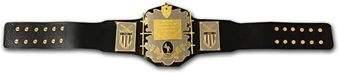 AWA World Heavyweight Champion Wrestling Title Replica Belt - Image 2